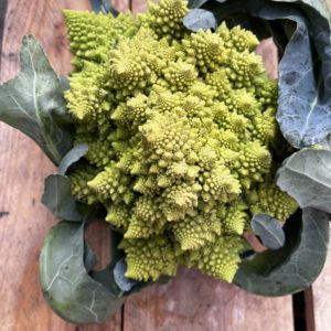 Chou romanesco